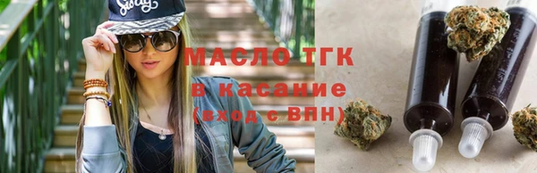 индика Михайловка