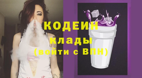 индика Михайловка