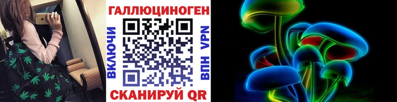 Купить где  Хвалынск  Псилоцибиновые грибы Cubensis 